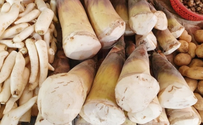 Cách loại bỏ độc tố trong măng tươi hiệu quả nhất