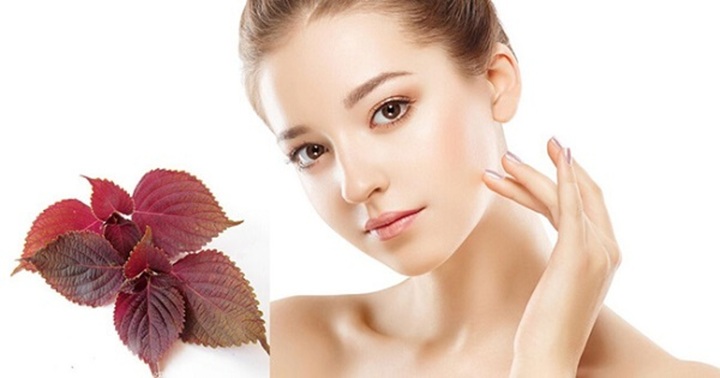 5 công dụng làm đẹp bất ngờ của lá tía tô