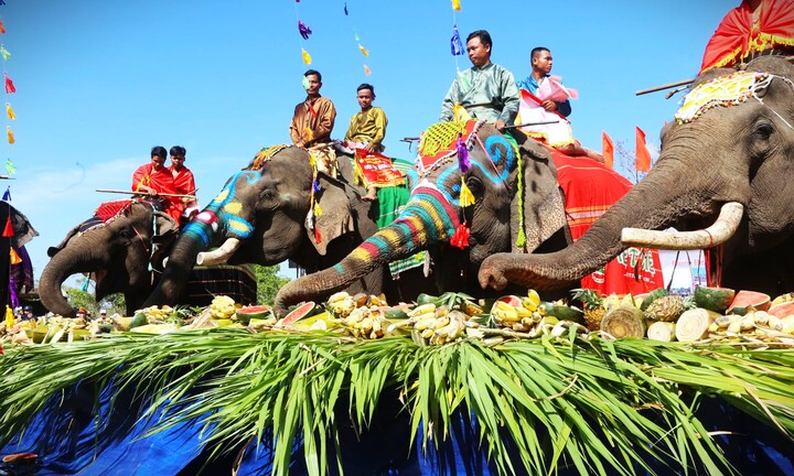 Về Đắk Lắk xem voi trang điểm đi dự lễ hội cà phê