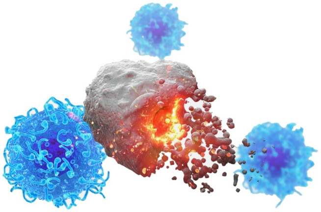 Mỹ phát triển vaccine hiệu quả với 4 loại ung thư