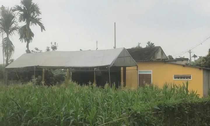 Phát hiện nữ sinh lớp 7 tử vong trong vườn nhà