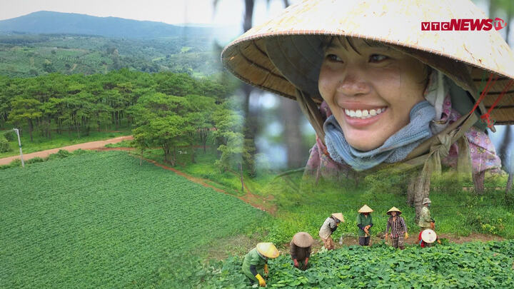 Nông nghiệp Net Zero: Biến rau vườn thành đặc sản xuất khẩu