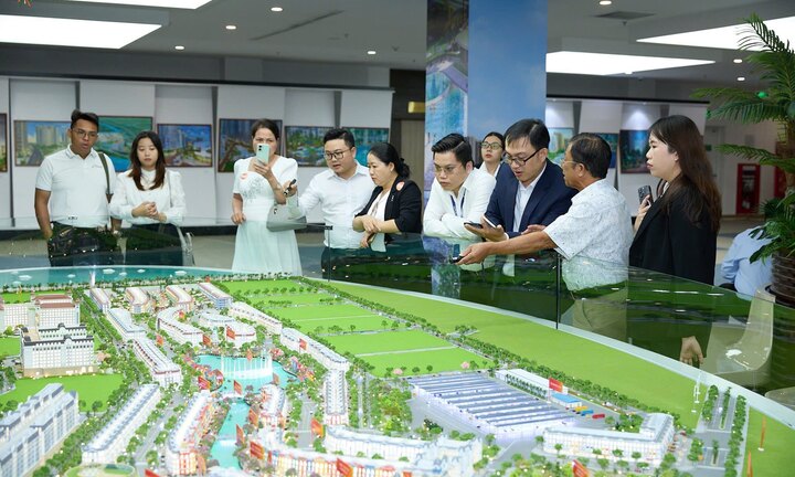 Nhà đầu tư đổ về Phú Quốc đón sóng APEC, sản phẩm nào lên ngôi?