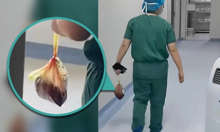 Bác sỹ ăn cắp nhau thai của hàng loạt sản phụ bị sa thải