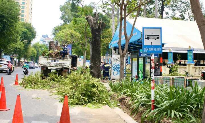 Bí thư TP.HCM truy việc thu phí đỗ ô tô dưới lòng đường lỗ hơn 2 tỷ đồng