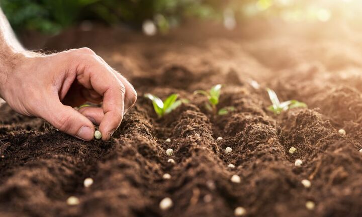 Phải dạy luật nhân quả cho học sinh và cho cả người lớn