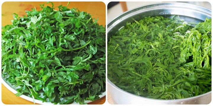 4 nhóm người không nên ăn rau ngải cứu