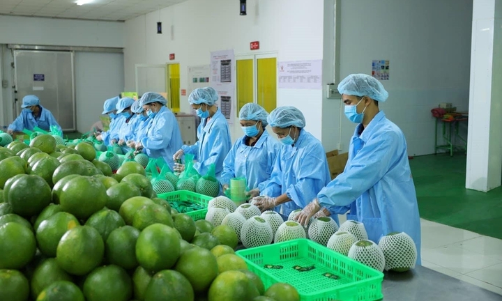 Mỹ áp thuế 46%: Doanh nghiệp Việt không nên hoảng loạn