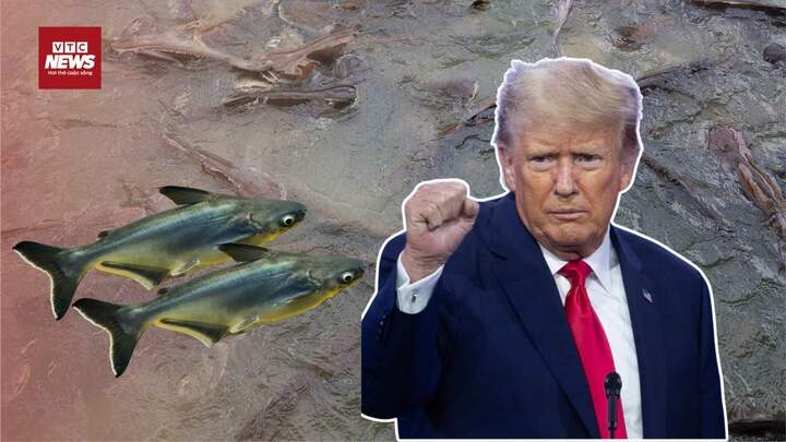 Mỹ áp thuế 46%: Doanh nghiệp cá tra Việt Nam lo lắng tìm phương án đối phó