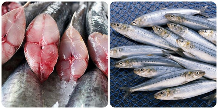 5 loại cá béo có hàm lượng Omega-3 cao nhất, nên ăn thường xuyên