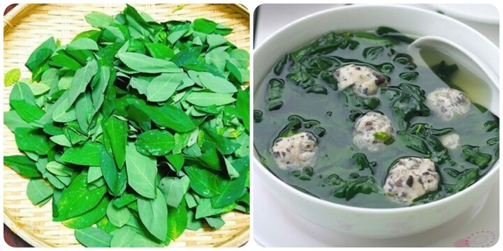 Ăn rau ngót hàng ngày có tốt?