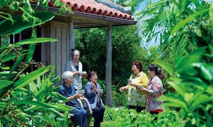 Ngôi làng trường thọ top đầu thế giới, bí quyết từ loại quả quen mặt ở Việt Nam