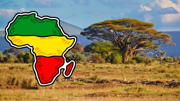 Tín chỉ carbon châu Phi đang bị bán rẻ bèo, chỉ 3 USD mỗi tấn