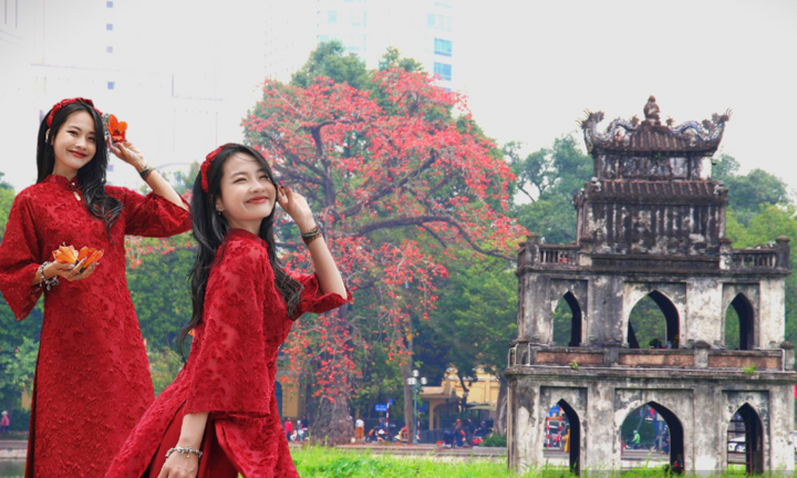 Những địa điểm chụp ảnh hoa gạo đẹp ở Hà Nội