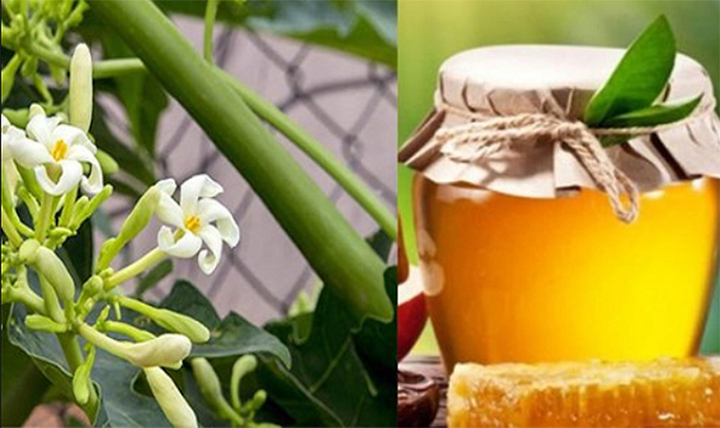 Cách làm hoa đu đủ đực ngâm mật ong