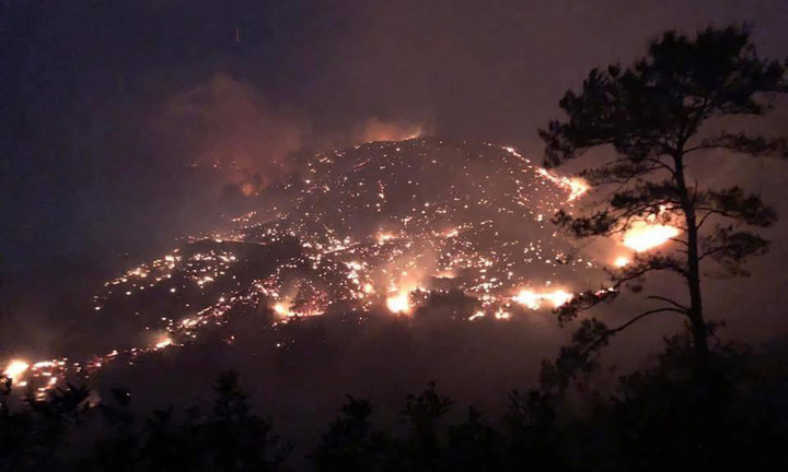 Cháy rừng ở Quảng Ninh: Chủ yếu là thảm thực bì, cây khô gãy đổ sau bão Yagi