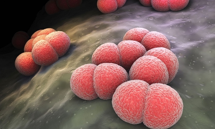 Hà Nội ghi nhận ca não mô cầu đầu tiên trong năm 2025