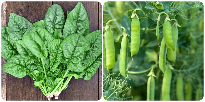 Những loại rau quả giá rẻ nhưng giàu Omega-3, có nhiều ở Việt Nam