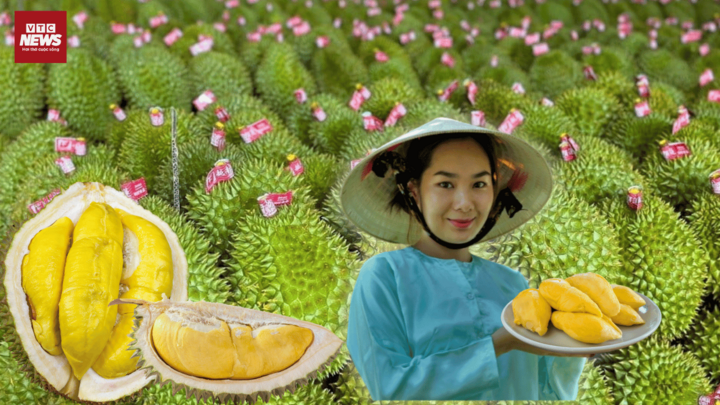 Ẩn số bất ngờ sầu riêng Việt Nam trên thị trường tỷ đô