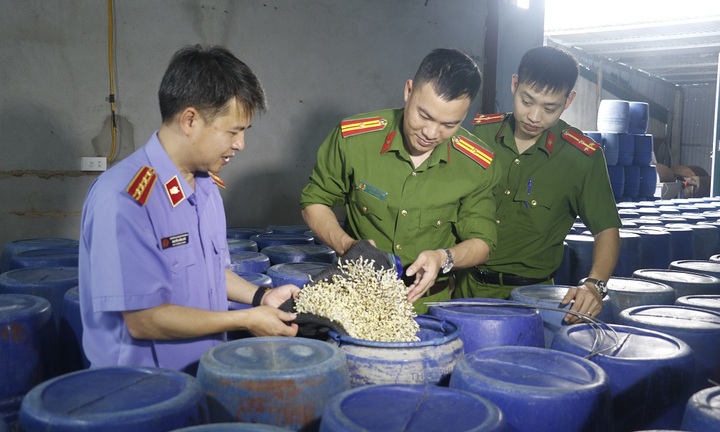 Vạch trần thủ đoạn của 4 kẻ sản xuất 3.500 tấn giá đỗ ngâm chất cấm ở Nghệ An