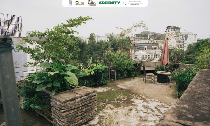 GenZ phủ xanh hơn 100 nóc nhà tập thể cũ ở Hà Nội