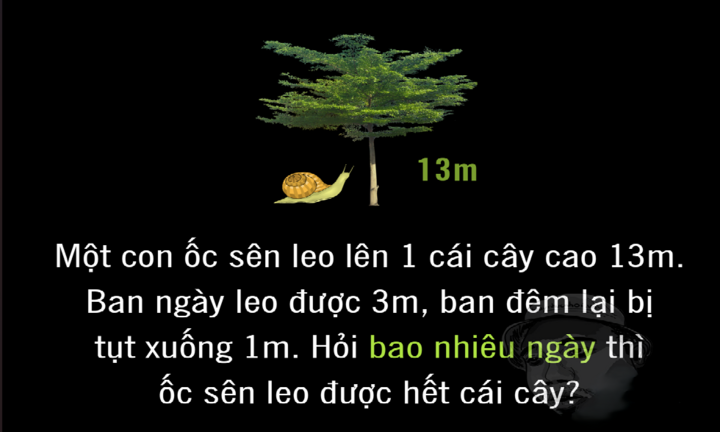 Ốc sên mất bao nhiêu ngày để leo hết cái cây 13m?