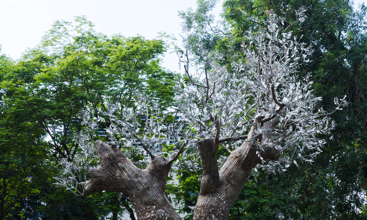 Cây xà cừ 70 năm tuổi đổ sau bão Yagi được ‘hồi sinh’ thành tác phẩm nghệ thuật