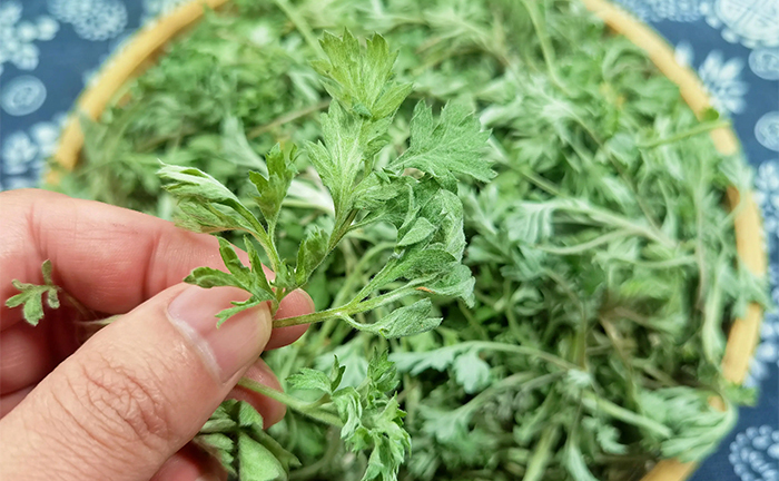 3 món ngon từ loại rau giúp phụ nữ trẻ mãi không già