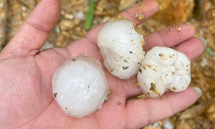 Mưa đá to bằng quả trứng ào ào trút xuống Hà Giang