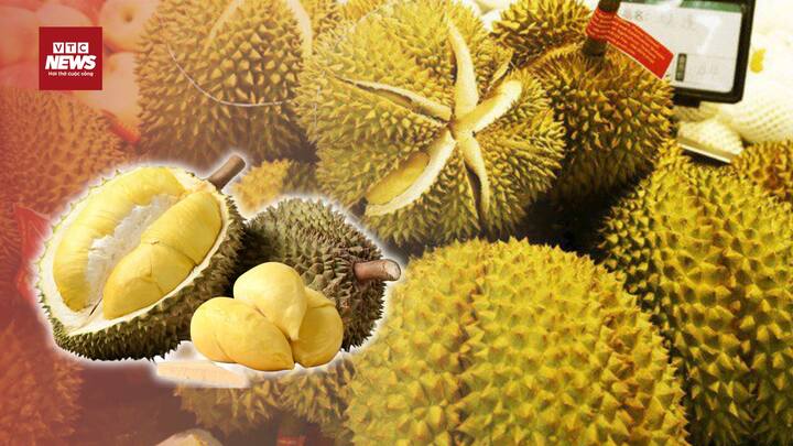 Sầu riêng khó giữ vững phong độ trên đường đua xuất khẩu vào thị trường tỷ dân