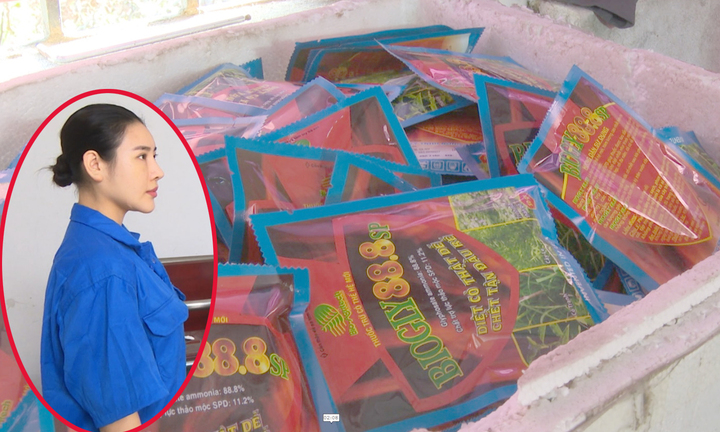 Nữ quái đất Mỏ sản xuất hơn 66.000 gói thuốc diệt cỏ giả bằng hạt nêm