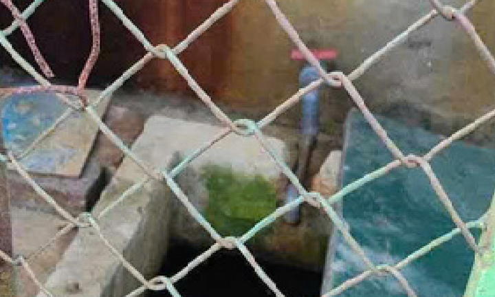 Bé 5 tuổi tử vong trong bể chứa nước trường mầm non 