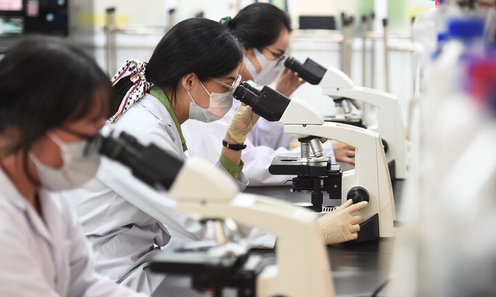 Chuyên gia cao cấp được hưởng chế độ về công vụ tương đương Bộ trưởng