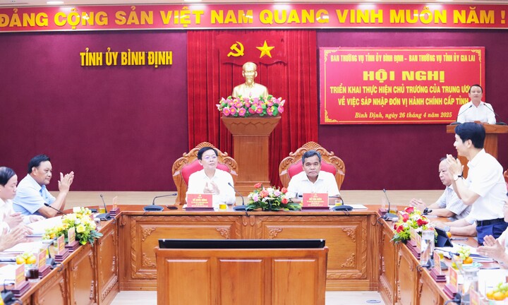 Bình Định và Gia Lai thống nhất phương án sáp nhập