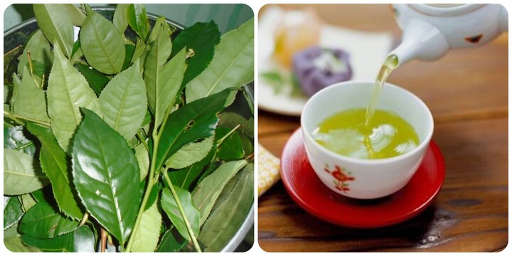 4 không khi uống nước chè xanh