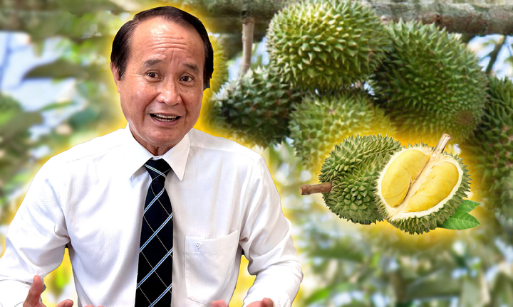 Sầu riêng rớt giá thê thảm, làm sao ‘giảm phụ thuộc vào thị trường tỷ USD’?