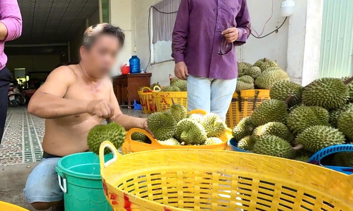 Nỗi oan sầu riêng 'nhúng thuốc'