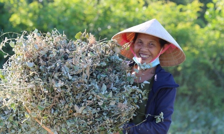 Dự báo thời tiết ngày 19/5: Mưa lớn giảm dần ở miền Bắc, miền Trung có nắng nóng