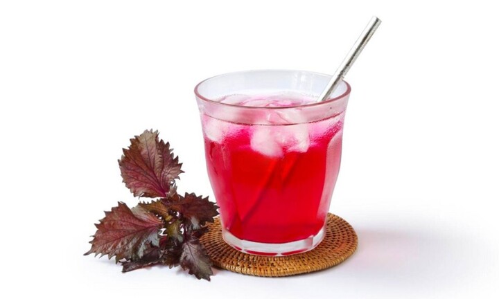 7 lợi ích khi uống nước lá tía tô mỗi ngày