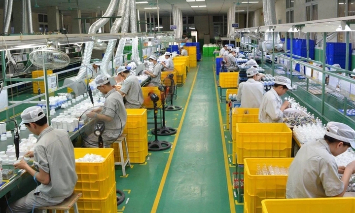 Kế hoạch hành động của Chính phủ về phát triển kinh tế tư nhân