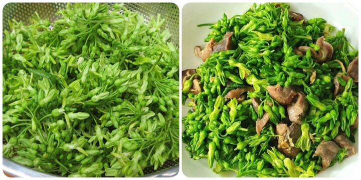 Loại hoa quen thuộc giúp bổ gan, tốt thận