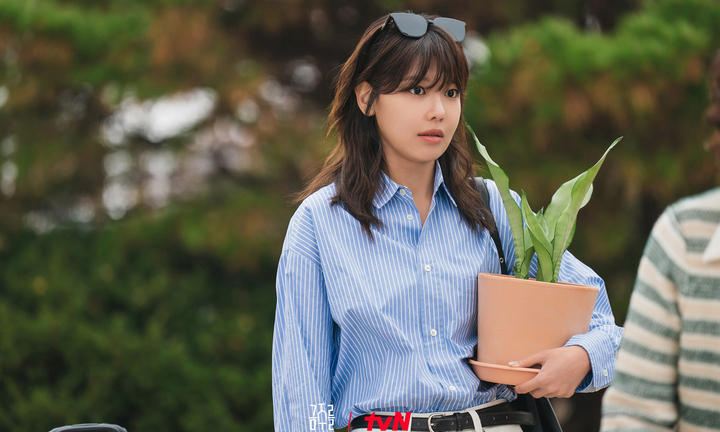 Second Shot at Love: Nội dung, lịch chiếu và diễn viên tham gia