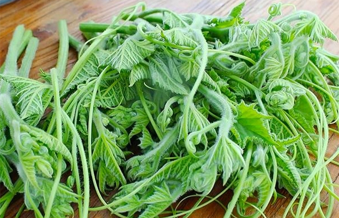 Cách chế biến loại rau bổ ngang thịt, ăn thường xuyên giúp sáng mắt, đẹp da