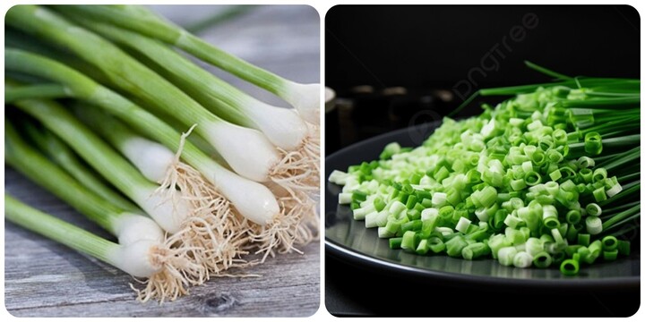 Những ai không nên ăn hành lá?