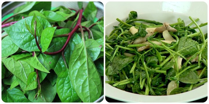 5 nhóm người không nên ăn rau mồng tơi