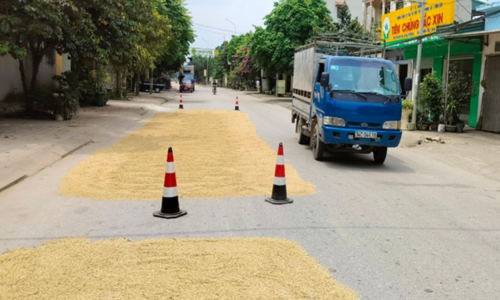 Nam Định yêu cầu truy tố người đốt rơm rạ, phơi thóc trên đường gây tai nạn