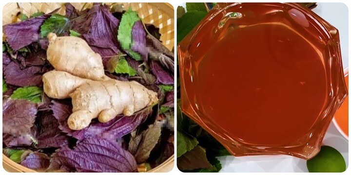 Tía tô nấu với gừng uống có tác dụng gì?