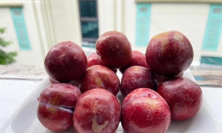 Những lưu ý quan trọng khi ăn quả mận