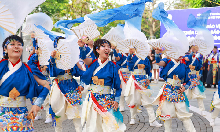 Tuần Văn hóa Nhật Bản 2025: Hoa anh đào giữa lòng Hà Nội