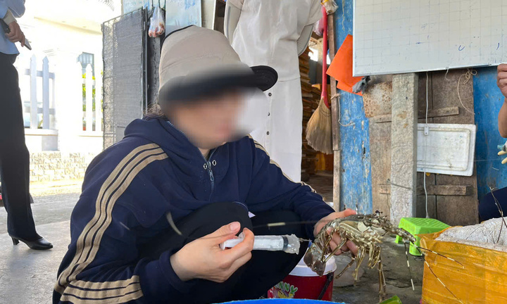 Một cơ sở ở Phú Yên thu mua tôm hùm chết, bơm tạp chất giữ tươi rồi đem bán